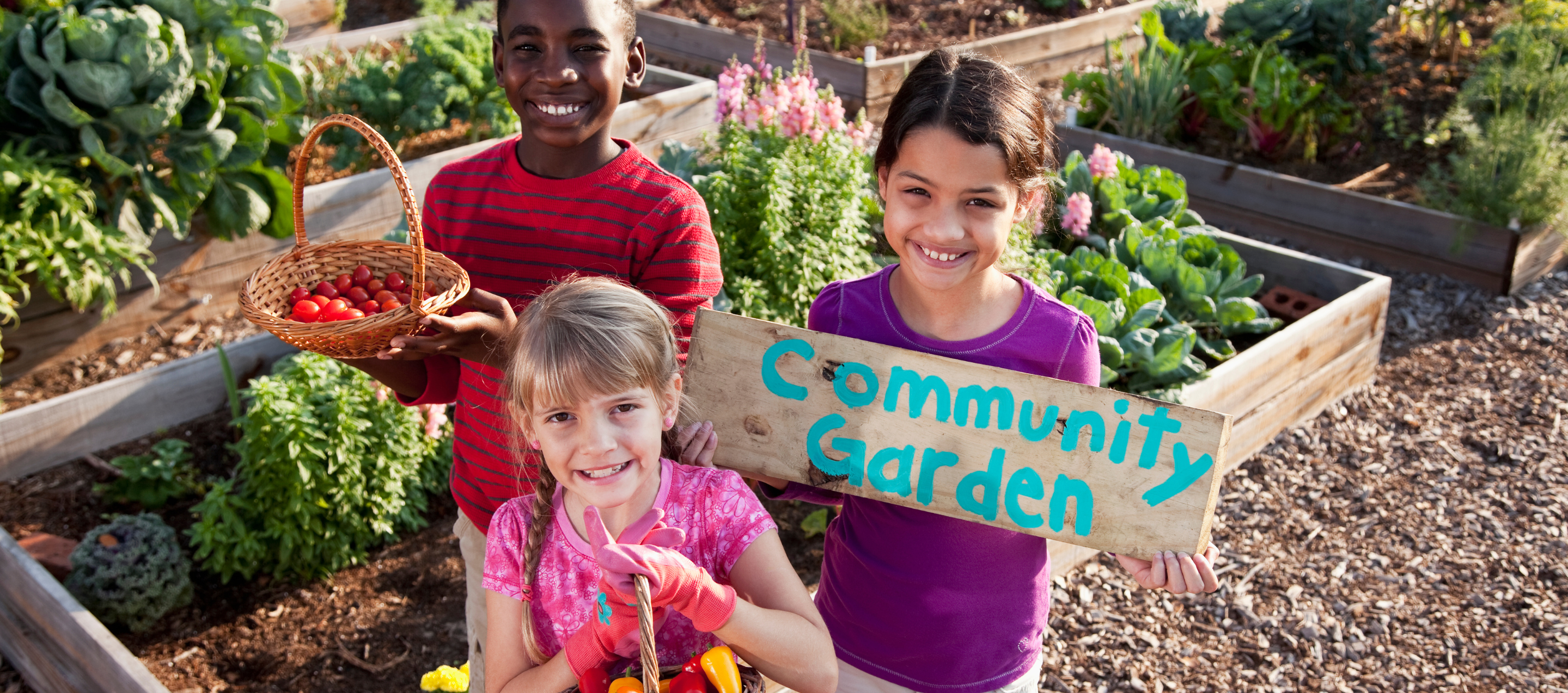 A boy and a girl in a vegetable plot holding baskets of vegetables and smiling. Another girl is with them and is holding a sign that says 'community garden'.