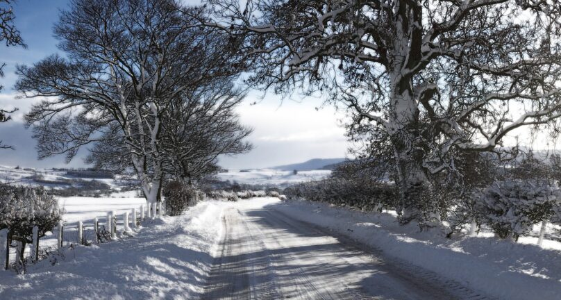 A country lane with trees and with snow.